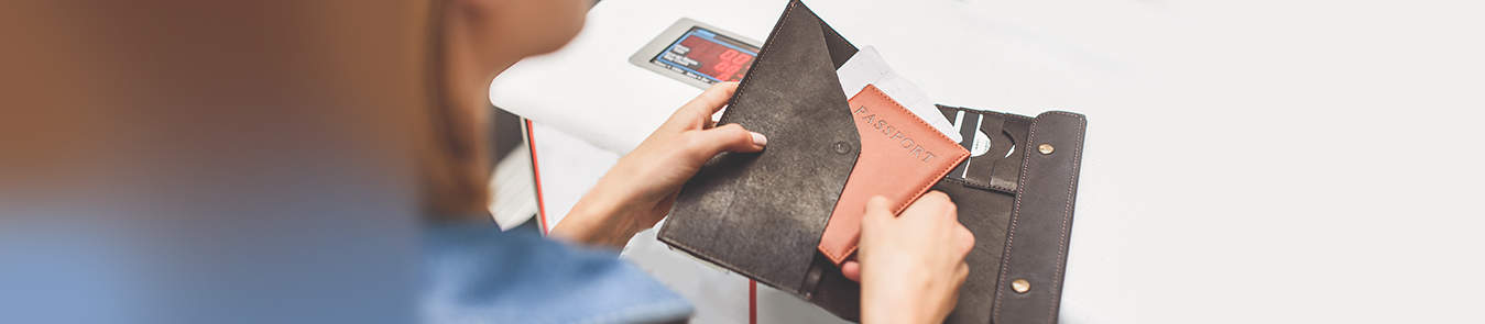 Source Custom Travel Neck Pouch Hidden Passport Wallet RFID