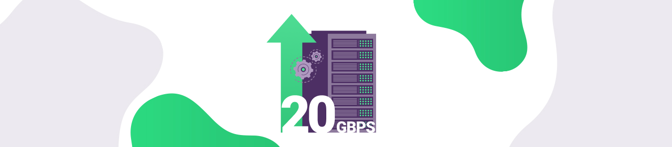 20 Gbps Server Upgrade